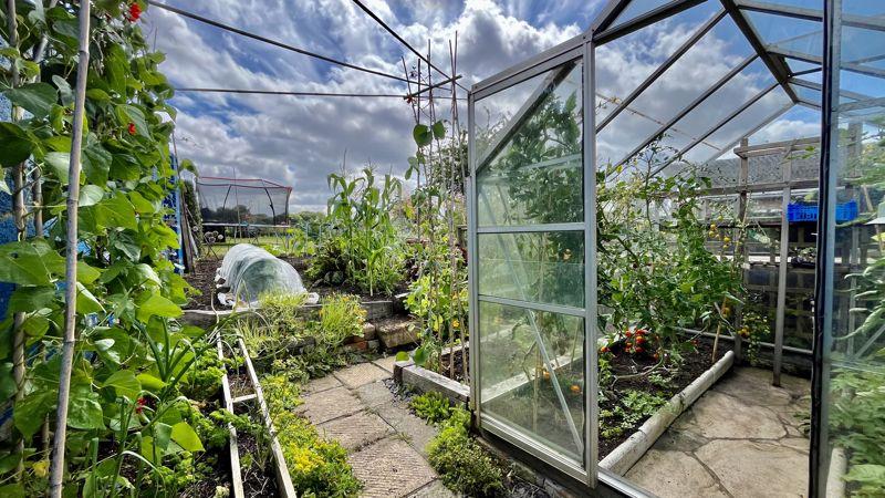 Vegetable Garden
