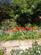 Additional image 48 of Henley Drive, Thorpe Thewles