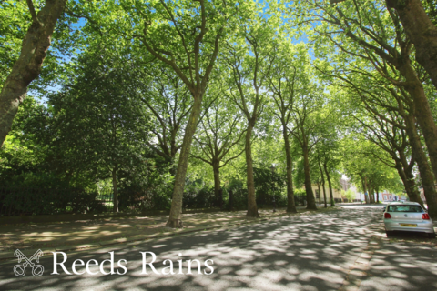 Flat 3, 40 Falkner Square, Liverpool, L8 7PA