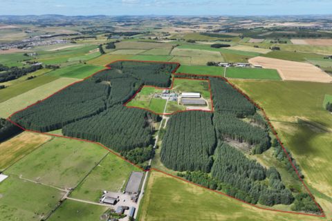 Woodland for sale, Ordiefauld Wood, Inverurie AB51