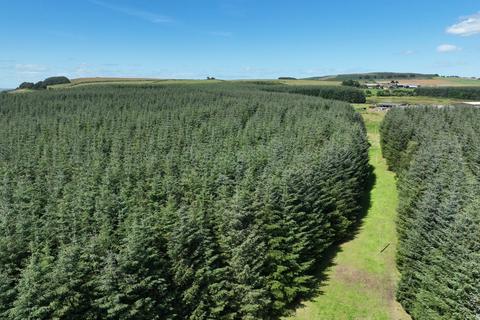 Woodland for sale, Ordiefauld Wood, Inverurie AB51