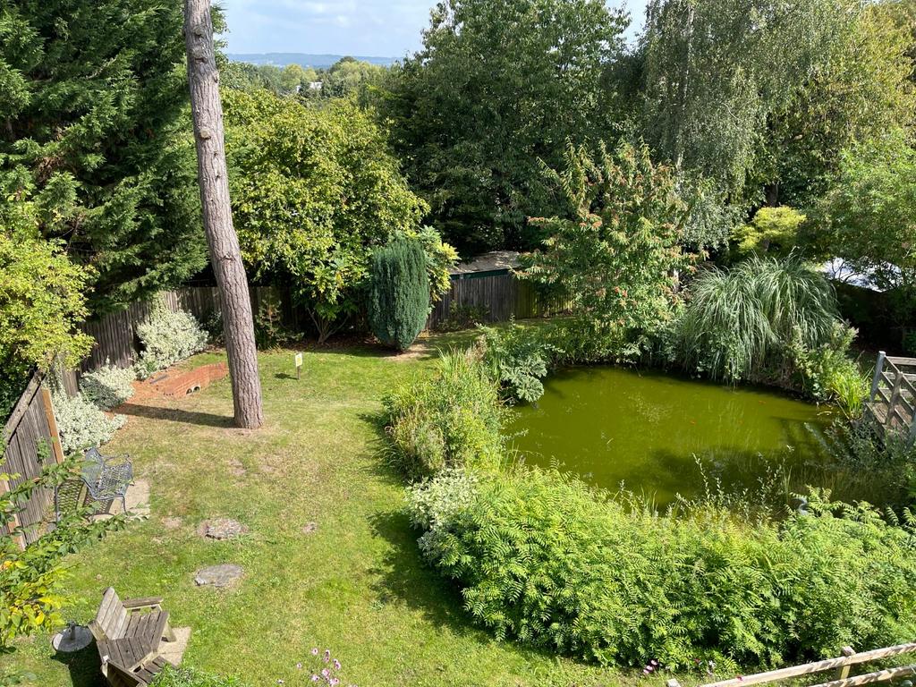 View Of Pond
