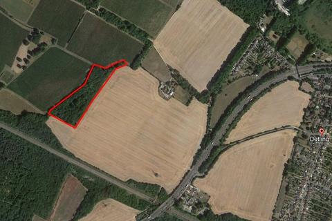 Land to rent, Shooting Rights At Yew Tree Shaw, Detling, Kent