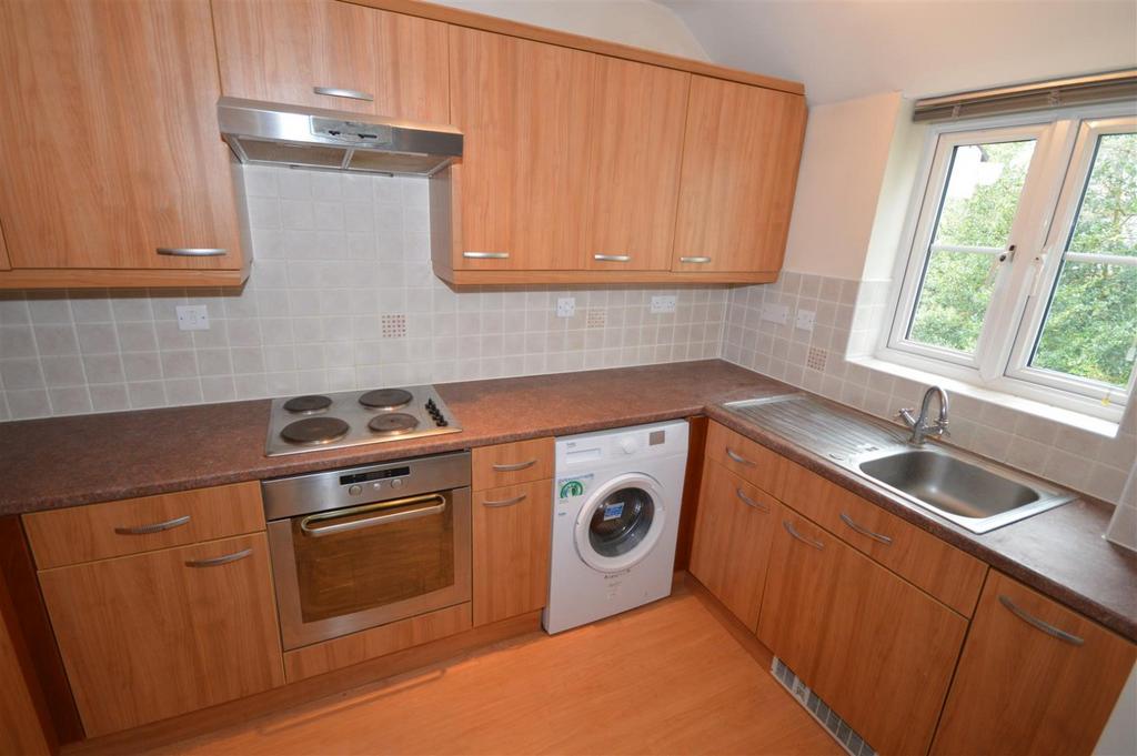 Modern Kitchen