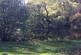 Garden and Grounds