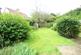 Garden.jpg