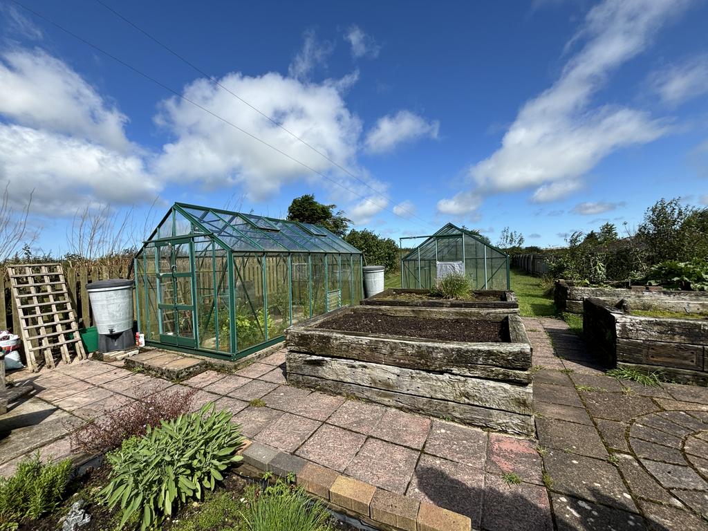 Vegetable growing garden