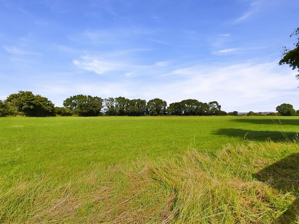 Field view