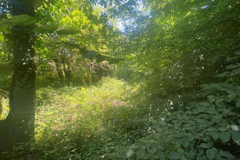 Woodland for sale, Hurst Lane, Sedlescombe TN33