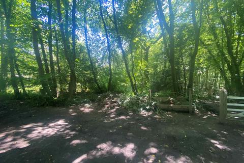 Woodland for sale, Hurst Lane, Sedlescombe TN33