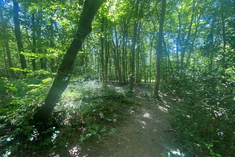 Woodland for sale, Hurst Lane, Sedlescombe TN33