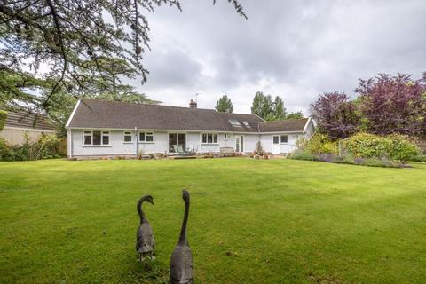 3 bedroom detached bungalow for sale, Abbey Close, Wells BA5