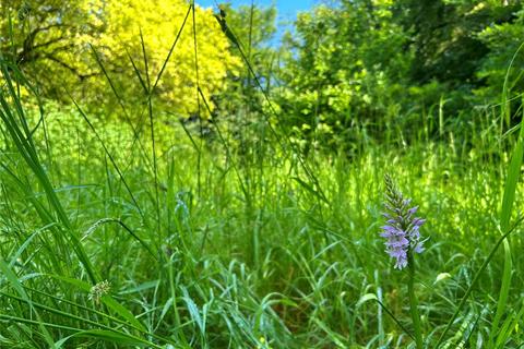 Land for sale, Old Limekiln Sawmill, Hinton St. George, Somerset, TA17