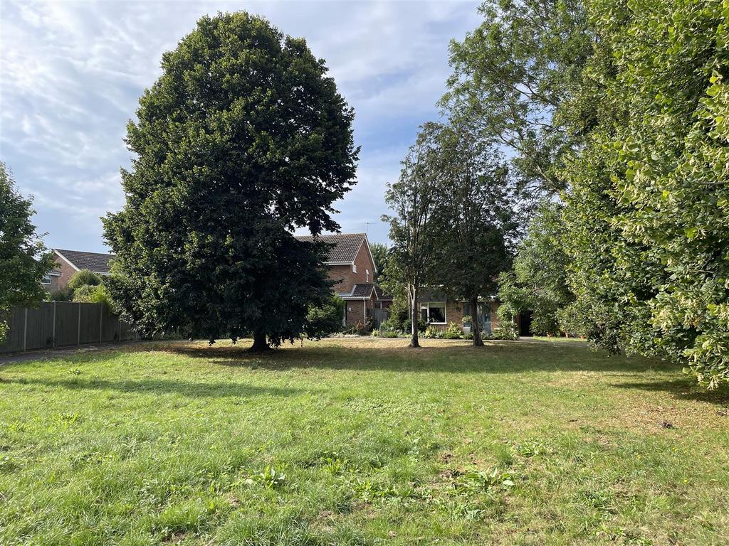 Green land behind the property