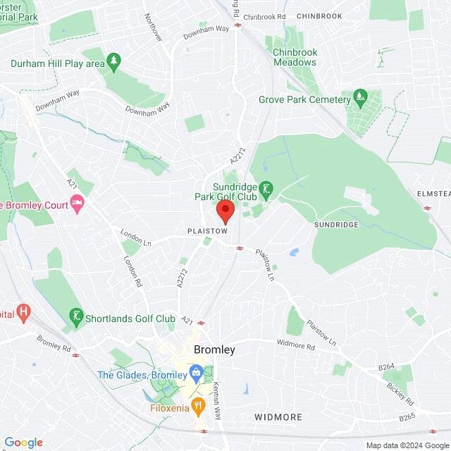 Google Maps Image