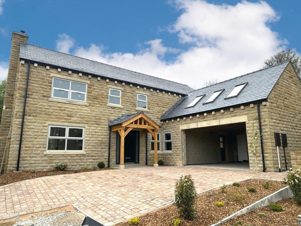 Plot 5