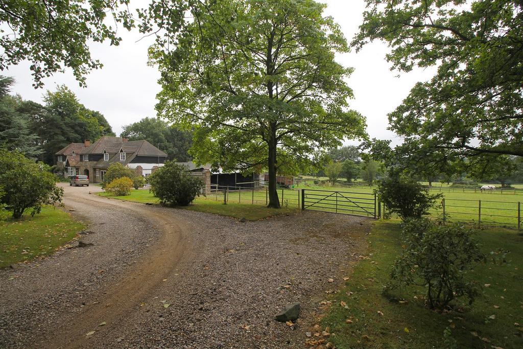 Driveway