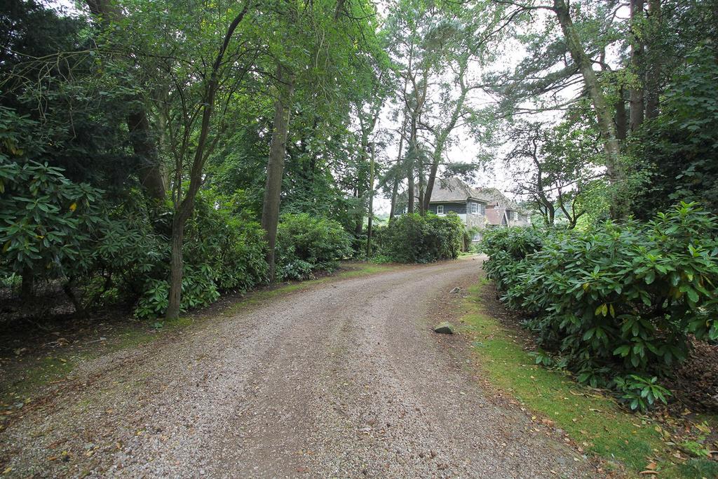 Driveway