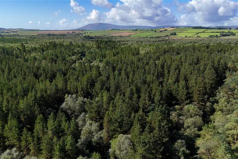 Land for sale, Fleet Forest, Fleet Forest, Dumfries, Dumfries & Galloway, South West Scotland, DG1