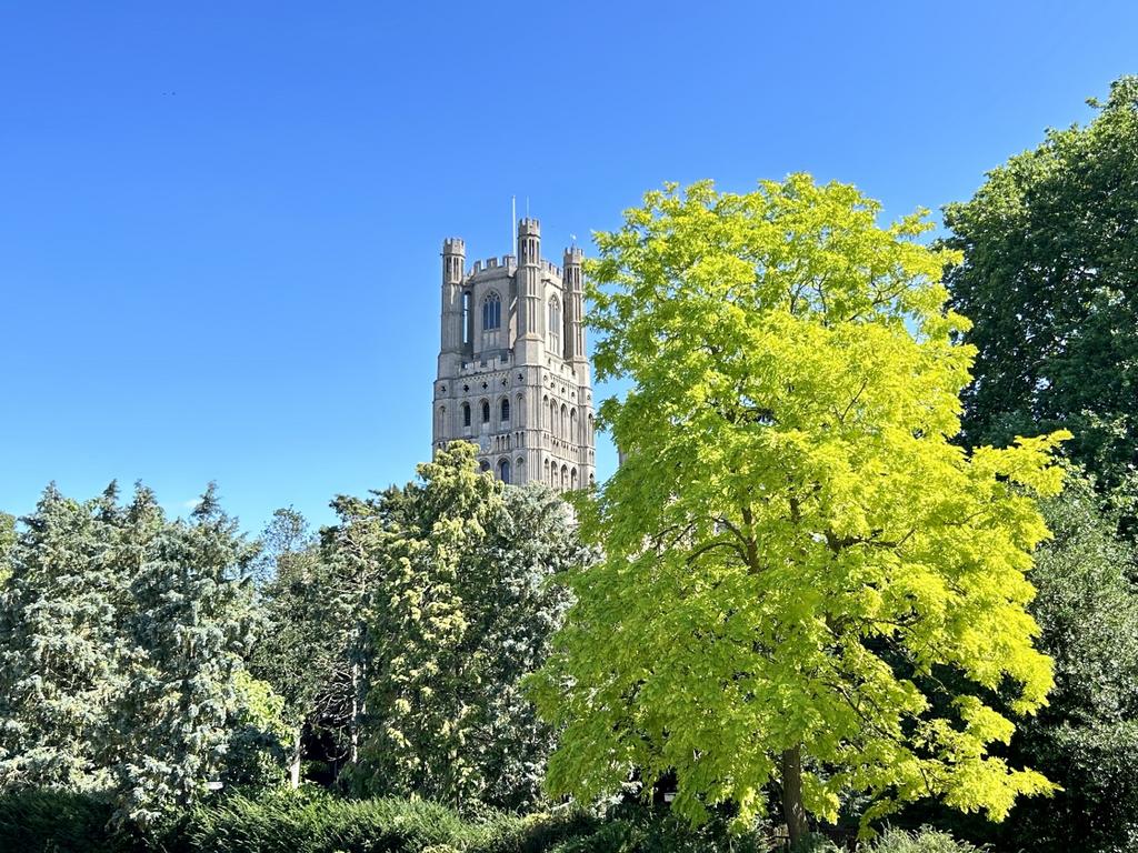 New Cathedral view