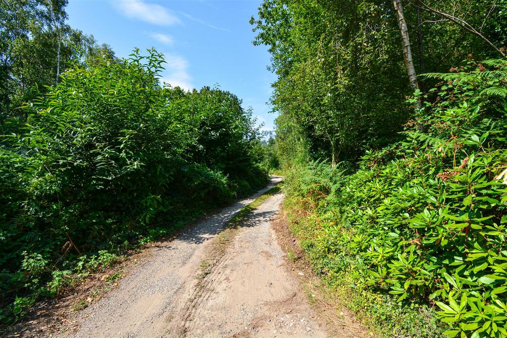 Approach Lane