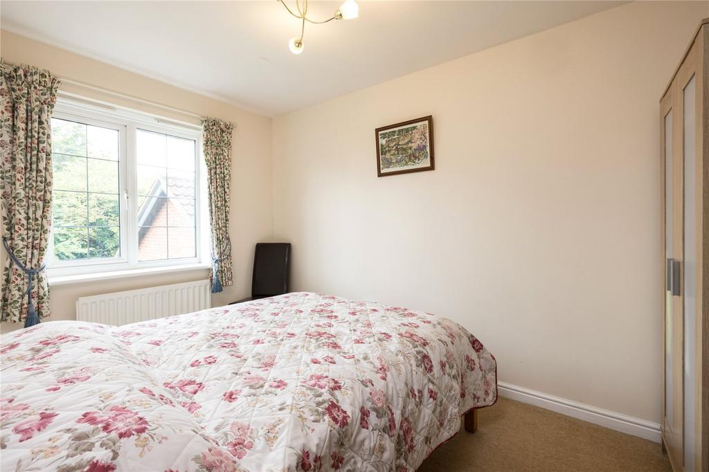 Photos