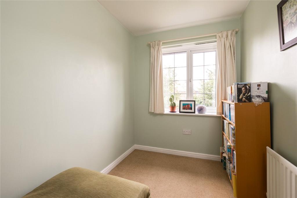 Photos