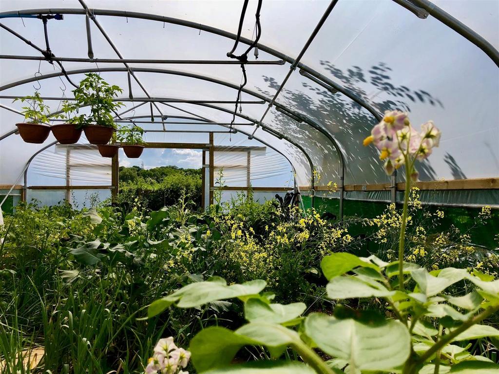 Polytunnel