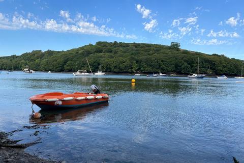 Napier Cottage Downs Hill, Golant, Fowey, PL23 1LJ