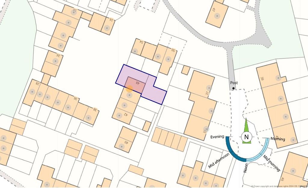 Site