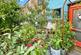 Additional image 11 of Hartington Street, Handbridge, Chester, CH4