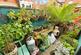 Additional image 9 of Hartington Street, Handbridge, Chester, CH4