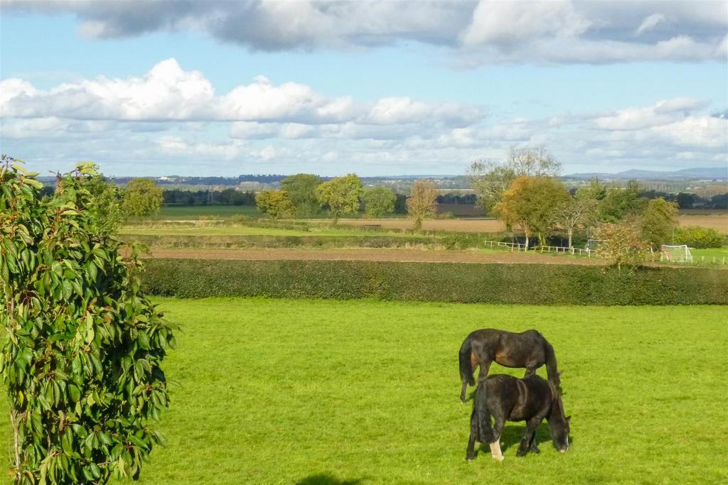 Rear view   horses.jpg