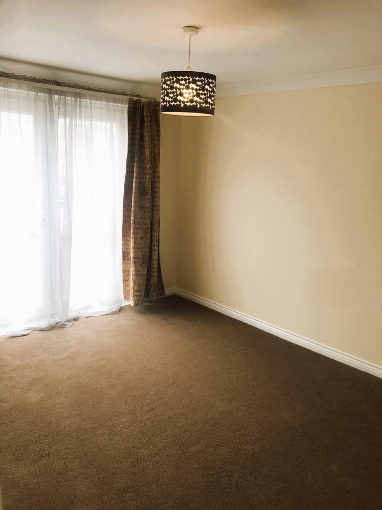 Img 3370