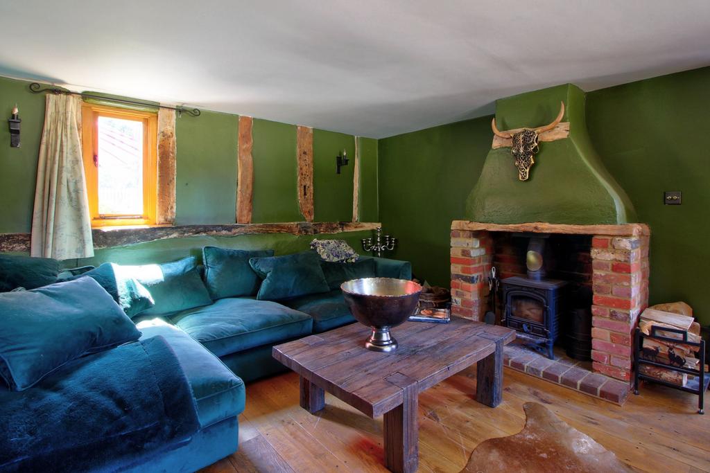 Cosy Living Room with multi-fuel stove