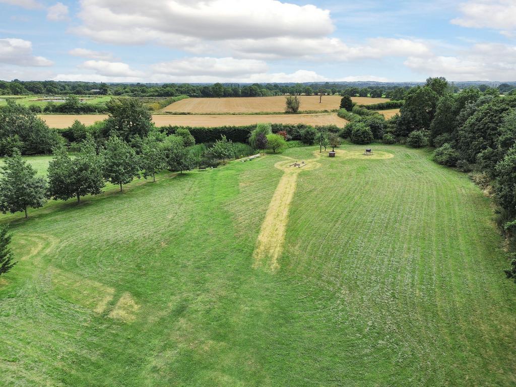 Field and Pond