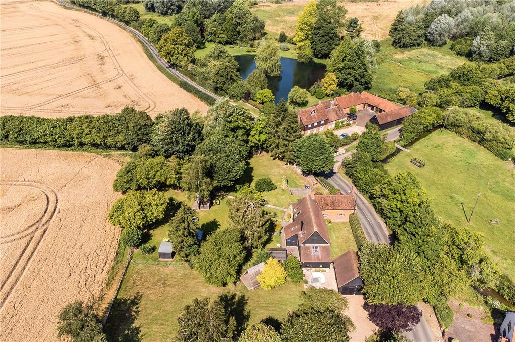 Aerial Shot