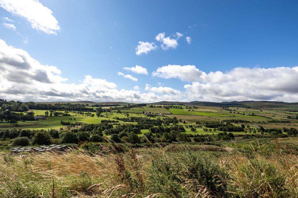 Penistane Cottage, Hillside, Rothbury, NE65 7 YH-33