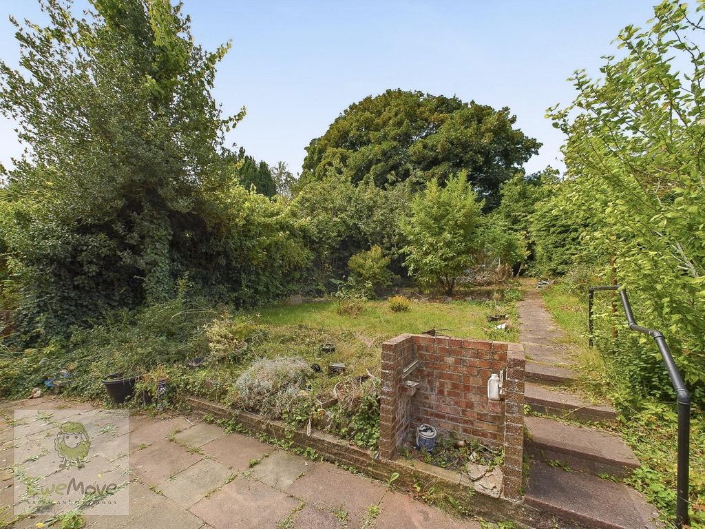 Back Garden