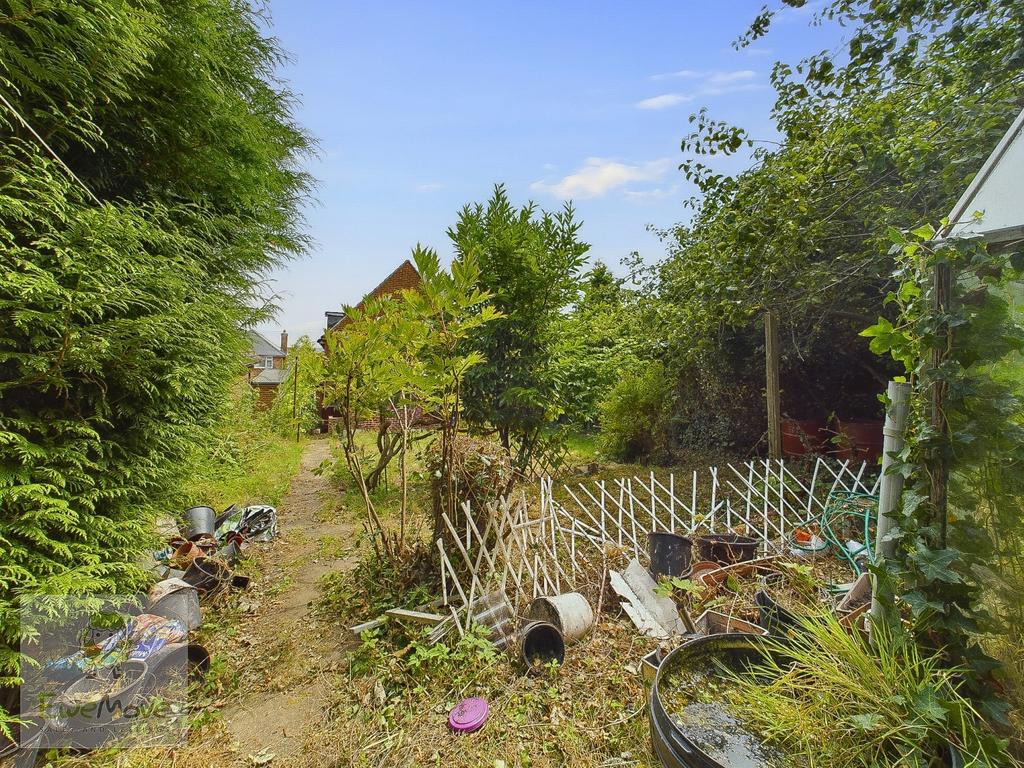 Back Garden