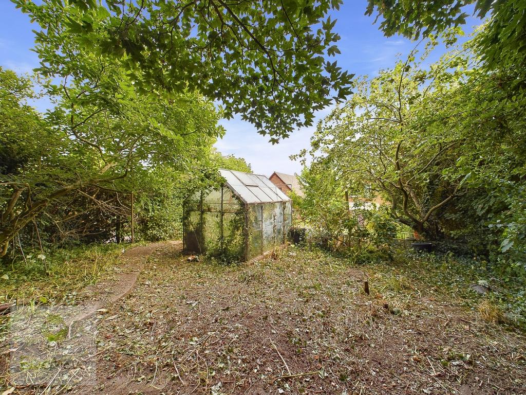 Back Garden