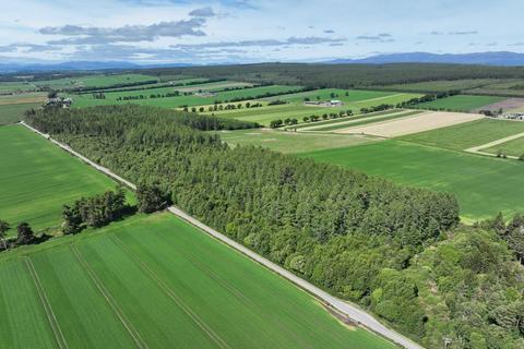 Land for sale, Lot 2 - Burnside Woodland, Killen, Avoch, Ross-Shire