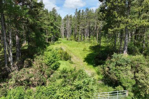 Land for sale, Lot 4 - Burnside Woodland, Killen, Avoch, Ross-Shire