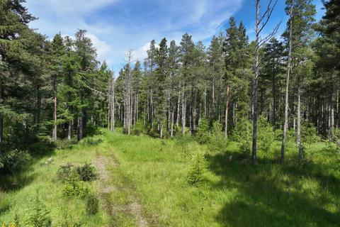 Land for sale, Lot 4 - Burnside Woodland, Killen, Avoch, Ross-Shire