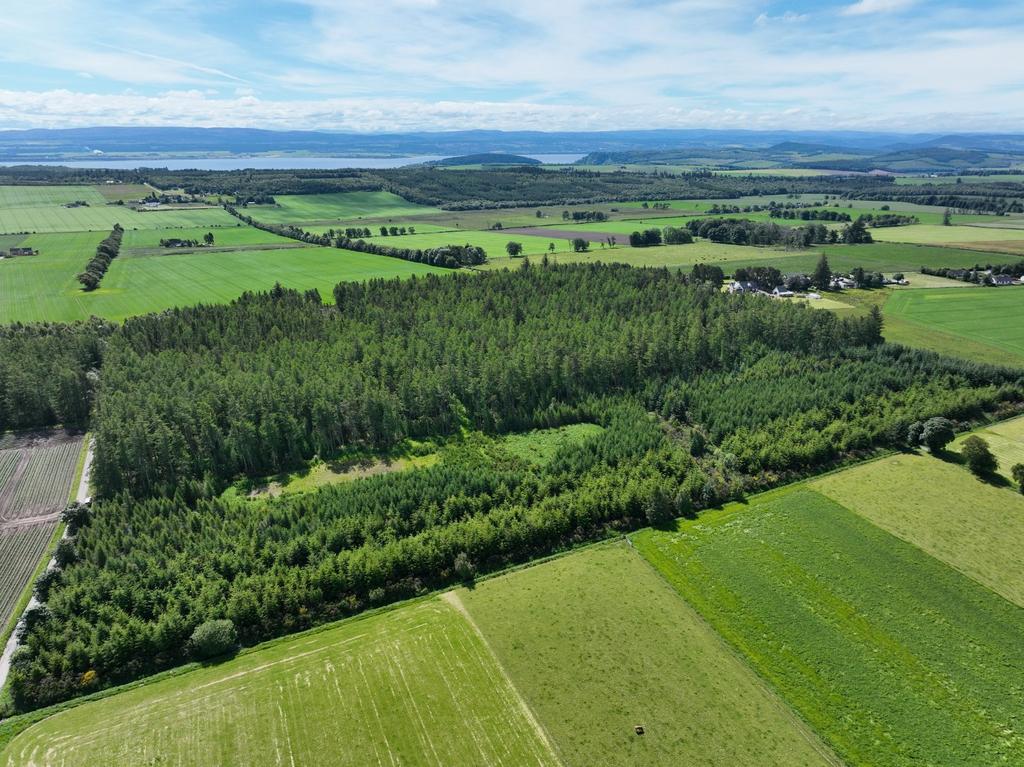 Lot 4 - Burnside