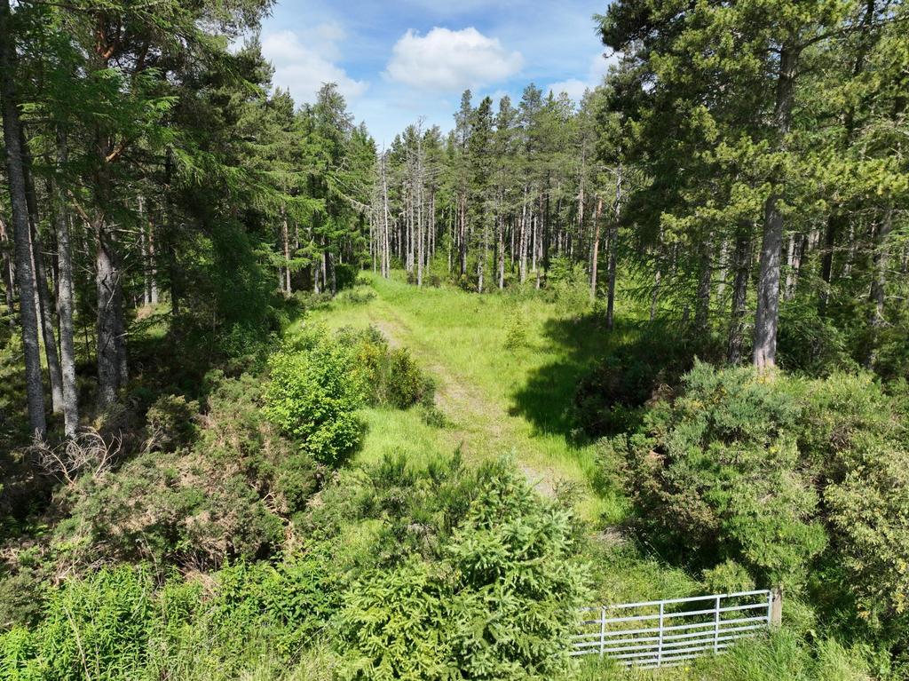 Lot 4 - Burnside