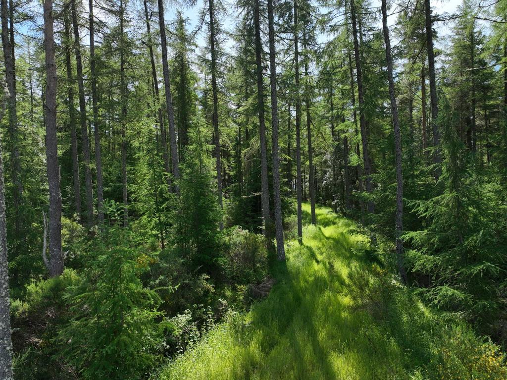 Lot 4 - Burnside
