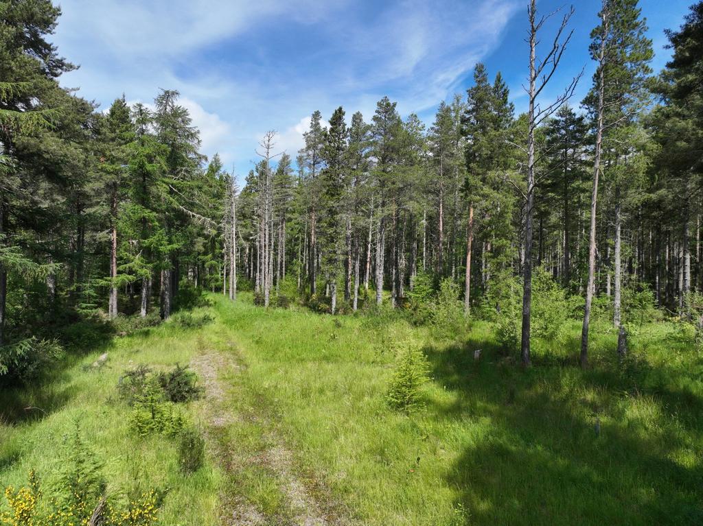 Lot 4 - Burnside
