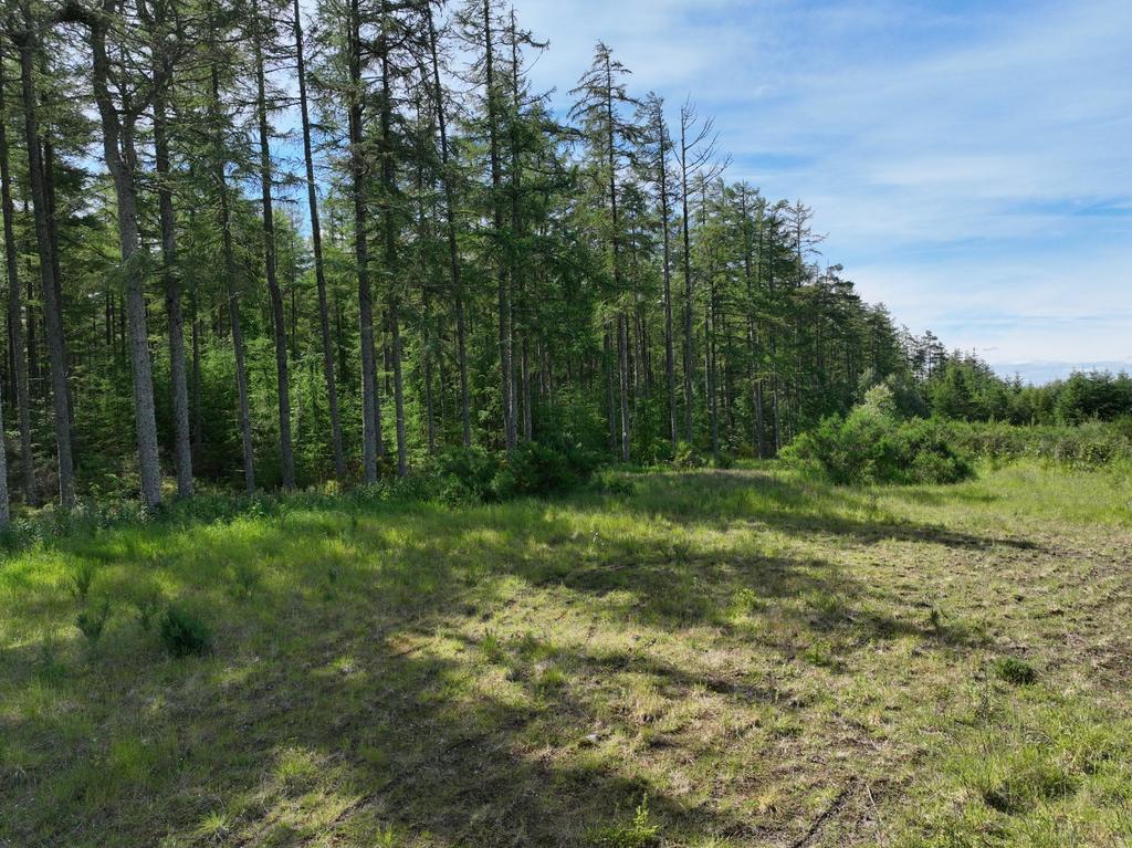 Lot 4 - Burnside