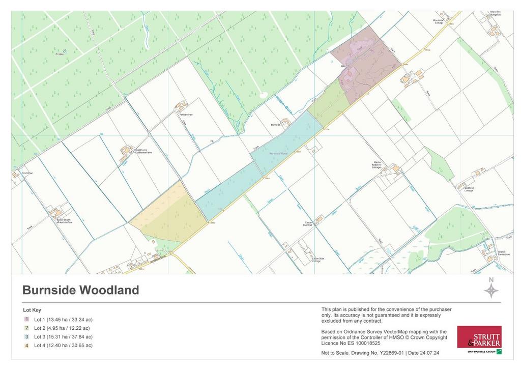 Burnside Woodland